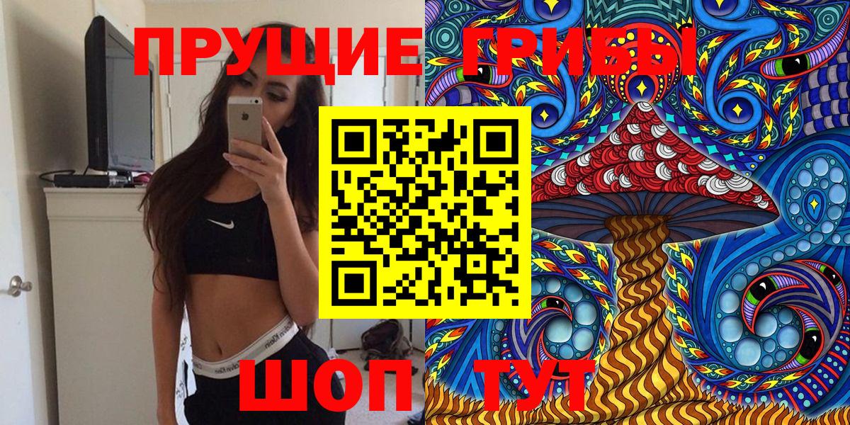 Псилоцибиновые грибы Psilocybe Канаш